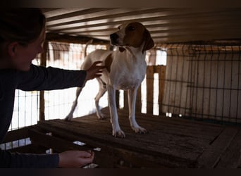 Jaron ❤️ aktiv, intelligent & so lieb!