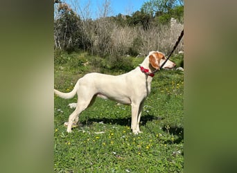 Eli - Kuschelmodus an