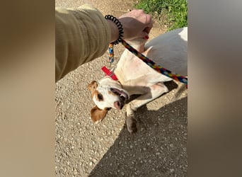 Eli - Kuschelmodus an