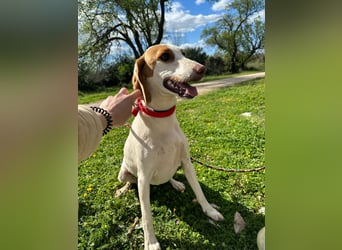 Eli - Kuschelmodus an