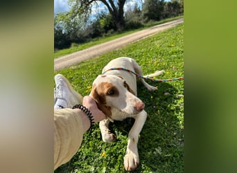 Eli - Kuschelmodus an