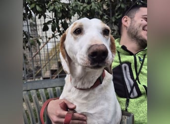 Jason - sanfter, traumhafter Bub