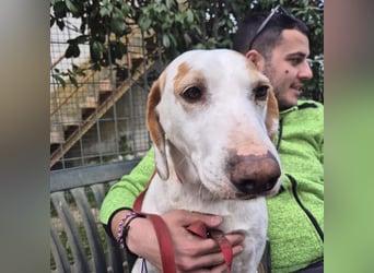 Jason - sanfter, traumhafter Bub