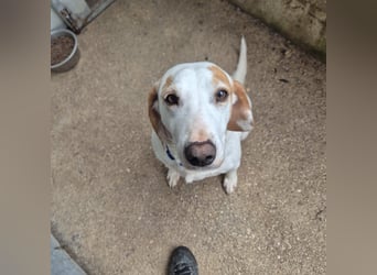 Jason - sanfter, traumhafter Bub