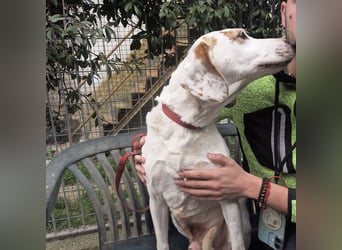 Jason - sanfter, traumhafter Bub