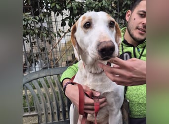 Jason - sanfter, traumhafter Bub