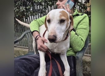 Jason - sanfter, traumhafter Bub