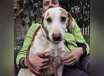 Jason - sanfter, traumhafter Bub