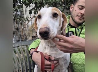 Jason - sanfter, traumhafter Bub