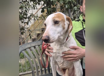 Jason - sanfter, traumhafter Bub