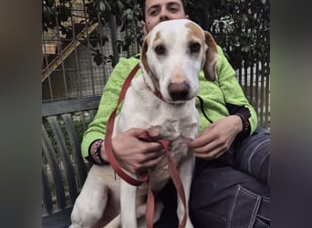 Jason - sanfter, traumhafter Bub