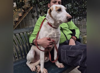 Jason - sanfter, traumhafter Bub