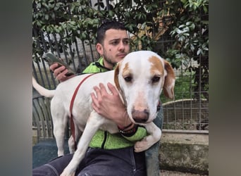 Jason - sanfter, traumhafter Bub