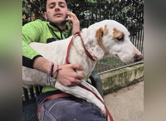 Jason - sanfter, traumhafter Bub