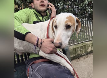 Jason - sanfter, traumhafter Bub