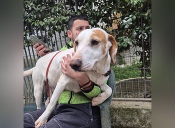 Jason - sanfter, traumhafter Bub