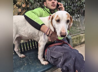 Jason - sanfter, traumhafter Bub