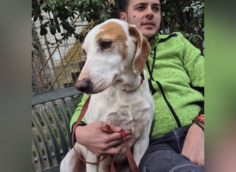 Jason - sanfter, traumhafter Bub