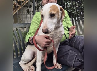 Jason - sanfter, traumhafter Bub