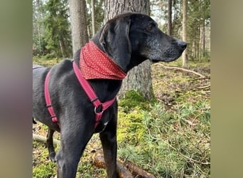 Nero - ein wunderbarer Bub