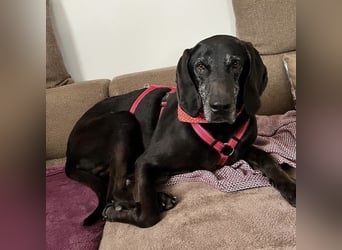 Nero - ein wunderbarer Bub