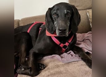 Nero - ein wunderbarer Bub