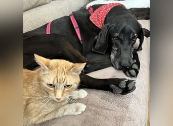 Nero - ein wunderbarer Bub