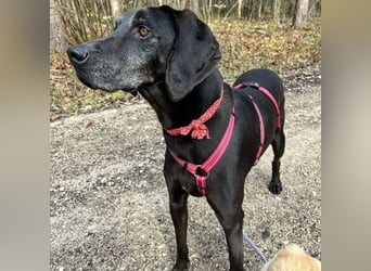 Nero - ein wunderbarer Bub