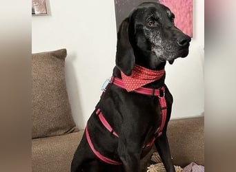 Nero - ein wunderbarer Bub