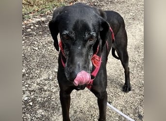 Nero - ein wunderbarer Bub