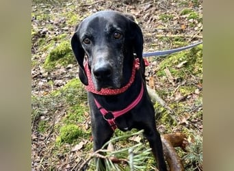 Nero - ein wunderbarer Bub