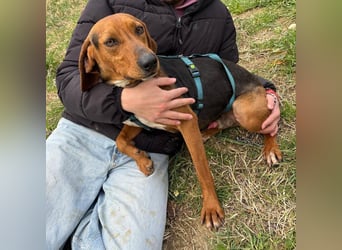 Kinder - ein fröhliche Entdecker, der Kinder, Hunde und Schmusen liebt!