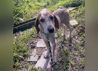 Newton - lieber, verschmuster Bub