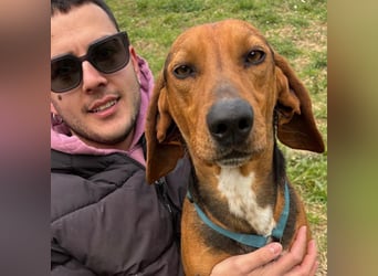 Kinder - ein fröhliche Entdecker, der Kinder, Hunde und Schmusen liebt!