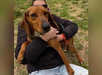 Kinder - ein fröhliche Entdecker, der Kinder, Hunde und Schmusen liebt!