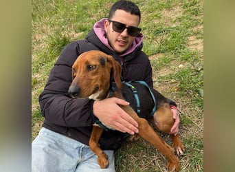 Kinder - ein fröhliche Entdecker, der Kinder, Hunde und Schmusen liebt!