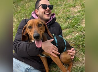 Kinder - ein fröhliche Entdecker, der Kinder, Hunde und Schmusen liebt!