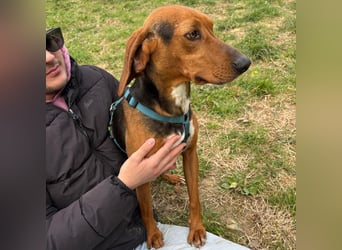 Kinder - ein fröhliche Entdecker, der Kinder, Hunde und Schmusen liebt!