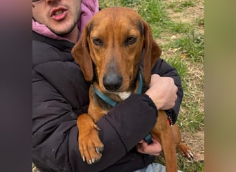 Kinder - ein fröhliche Entdecker, der Kinder, Hunde und Schmusen liebt!