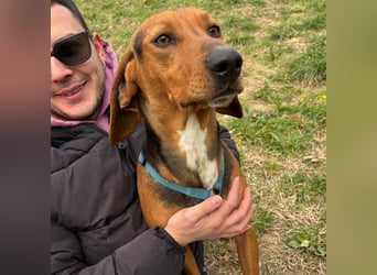 Kinder - ein fröhliche Entdecker, der Kinder, Hunde und Schmusen liebt!