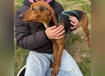 Kinder - ein fröhliche Entdecker, der Kinder, Hunde und Schmusen liebt!