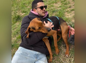 Kinder - ein fröhliche Entdecker, der Kinder, Hunde und Schmusen liebt!