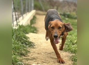 Kinder - ein fröhliche Entdecker, der Kinder, Hunde und Schmusen liebt!