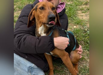 Kinder - ein fröhliche Entdecker, der Kinder, Hunde und Schmusen liebt!