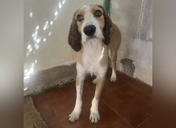 Sigmund - RESERVIERT - zarter, schüchterner Bub