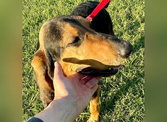 Fulvio (Fhul) - dynamischer lieber Bub