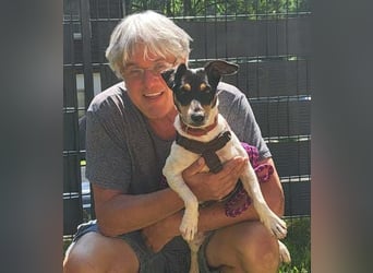 NOTFALL: WARUM wird die tolle PIXIE immer übersehen? In Friesenhagen kann PIXIE besucht werden!