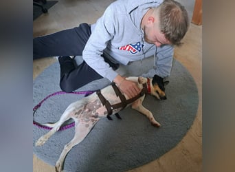 NOTFALL: WARUM wird die tolle PIXIE immer übersehen? In Friesenhagen kann PIXIE besucht werden!