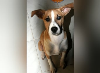 Paolo: Lebensfreude pur