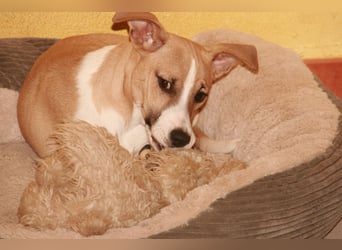 Paolo: Lebensfreude pur